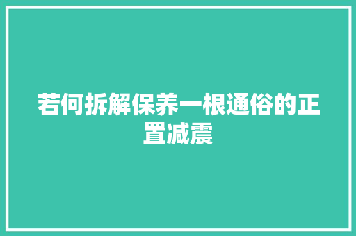 若何拆解保养一根通俗的正置减震