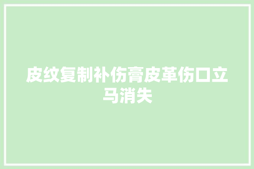 皮纹复制补伤膏皮革伤口立马消失