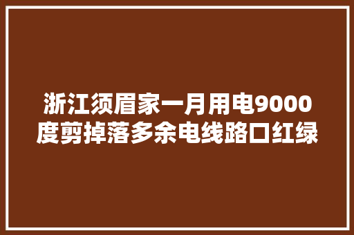 浙江须眉家一月用电9000度剪掉落多余电线路口红绿灯却灭了