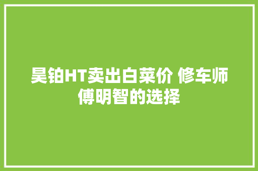 昊铂HT卖出白菜价 修车师傅明智的选择