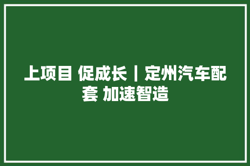 上项目 促成长｜定州汽车配套 加速智造
