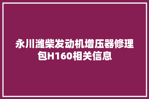 永川潍柴发动机增压器修理包H160相关信息
