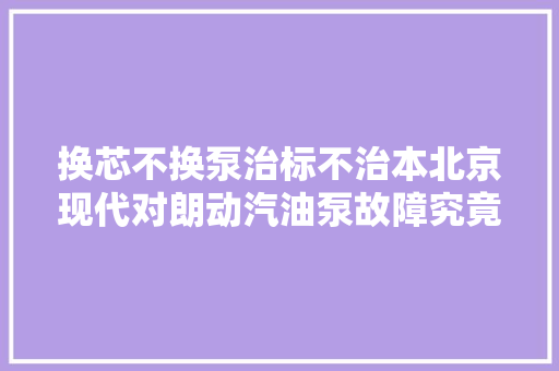 换芯不换泵治标不治本北京现代对朗动汽油泵故障究竟怎么解决