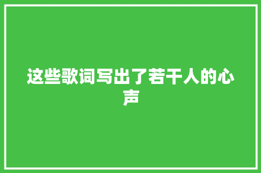 这些歌词写出了若干人的心声 休闲娱乐