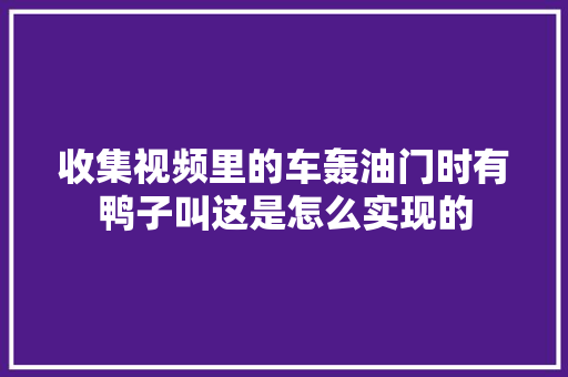 收集视频里的车轰油门时有鸭子叫这是怎么实现的