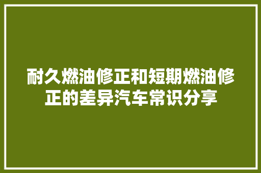 耐久燃油修正和短期燃油修正的差异汽车常识分享