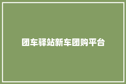 团车驿站新车团购平台