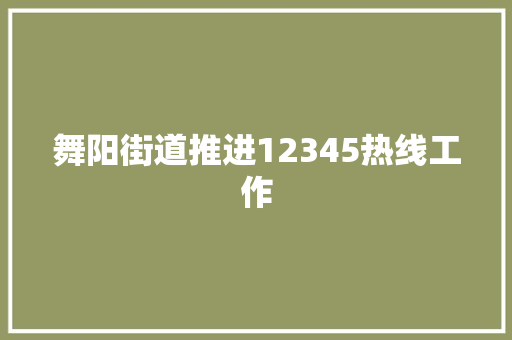 舞阳街道推进12345热线工作