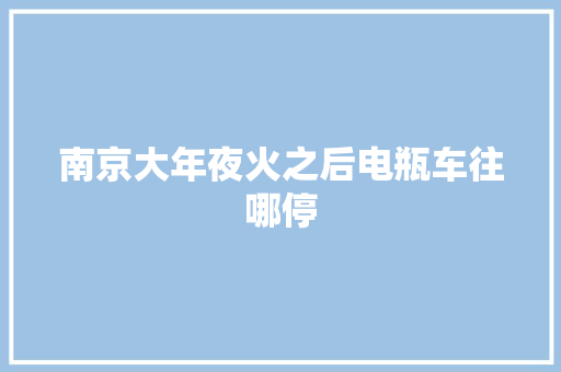 南京大年夜火之后电瓶车往哪停