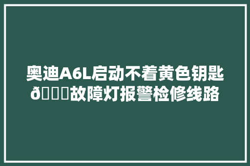 奥迪A6L启动不着黄色钥匙🔑故障灯报警检修线路故障清除