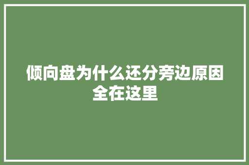 倾向盘为什么还分旁边原因全在这里