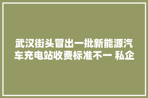 武汉街头冒出一批新能源汽车充电站收费标准不一 私企也可报装