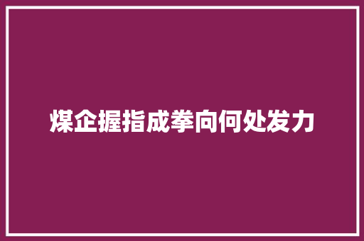煤企握指成拳向何处发力