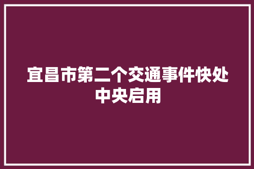 宜昌市第二个交通事件快处中央启用