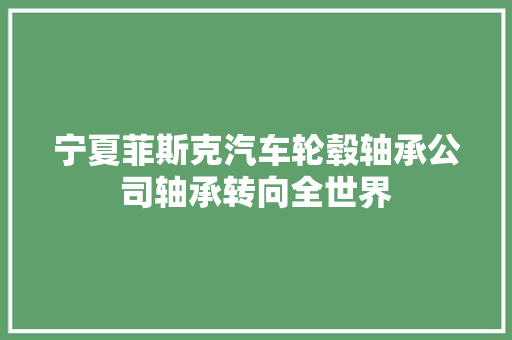 宁夏菲斯克汽车轮毂轴承公司轴承转向全世界
