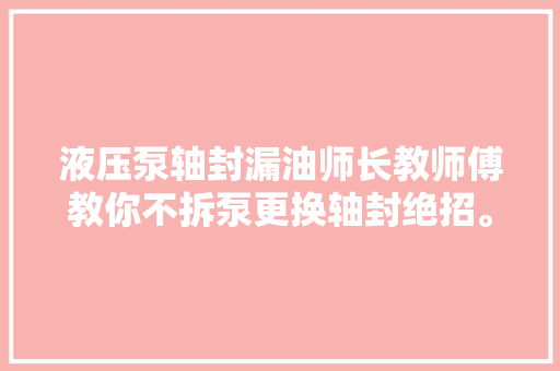 液压泵轴封漏油师长教师傅教你不拆泵更换轴封绝招。