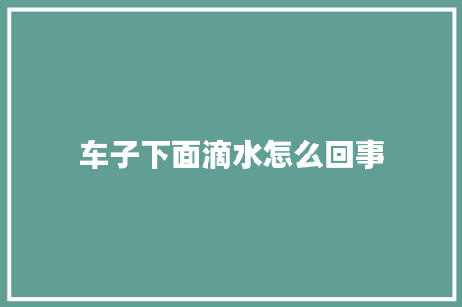 车子下面滴水怎么回事
