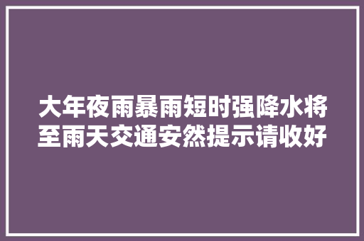 大年夜雨暴雨短时强降水将至雨天交通安然提示请收好