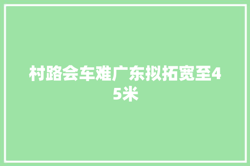 村路会车难广东拟拓宽至45米