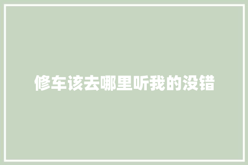 修车该去哪里听我的没错
