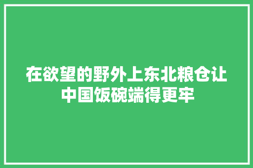 在欲望的野外上东北粮仓让中国饭碗端得更牢 汽车知识