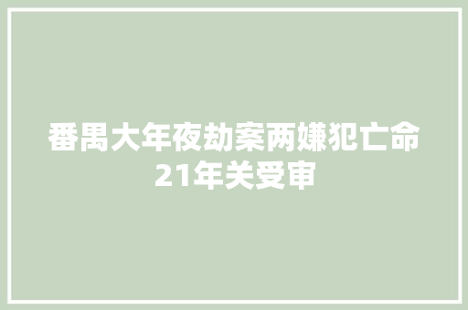 番禺大年夜劫案两嫌犯亡命21年关受审