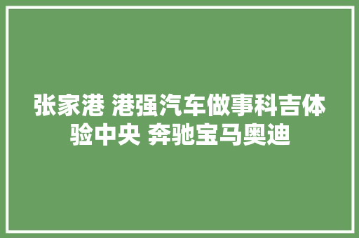 张家港 港强汽车做事科吉体验中央 奔驰宝马奥迪