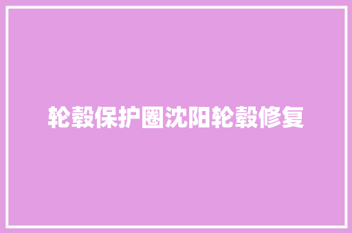 轮毂保护圈沈阳轮毂修复