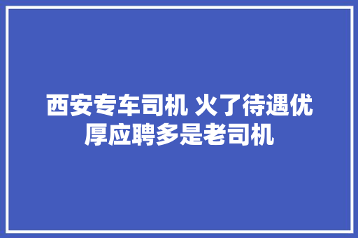 西安专车司机 火了待遇优厚应聘多是老司机