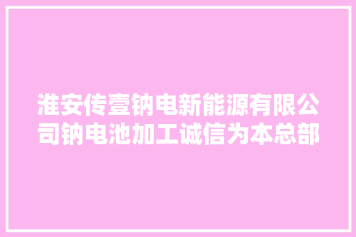 淮安传壹钠电新能源有限公司钠电池加工诚信为本总部扶持力度大年夜