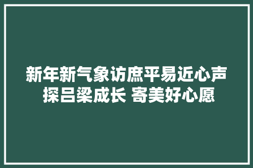 新年新气象访庶平易近心声 探吕梁成长 寄美好心愿