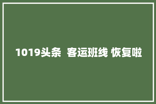 1019头条  客运班线 恢复啦