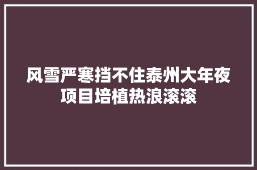 风雪严寒挡不住泰州大年夜项目培植热浪滚滚