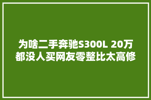 为啥二手奔驰S300L 20万都没人买网友零整比太高修不起