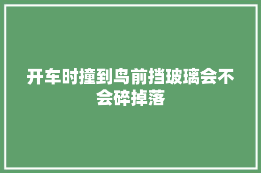开车时撞到鸟前挡玻璃会不会碎掉落