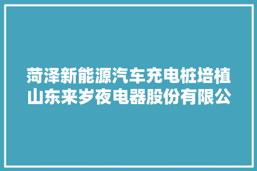 菏泽新能源汽车充电桩培植山东来岁夜电器股份有限公司