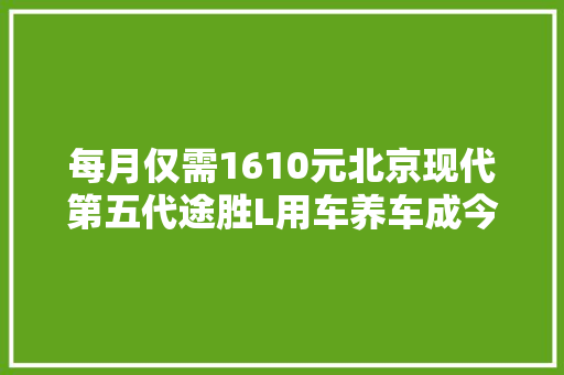 每月仅需1610元北京现代第五代途胜L用车养车成今年夜解读