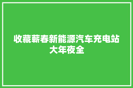 收藏蕲春新能源汽车充电站大年夜全
