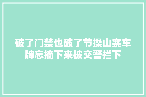 破了门禁也破了节操山寨车牌忘摘下来被交警拦下