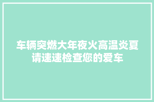 车辆突燃大年夜火高温炎夏请速速检查您的爱车