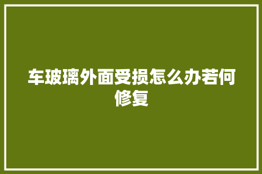 车玻璃外面受损怎么办若何修复