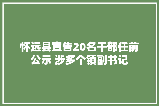 怀远县宣告20名干部任前公示 涉多个镇副书记