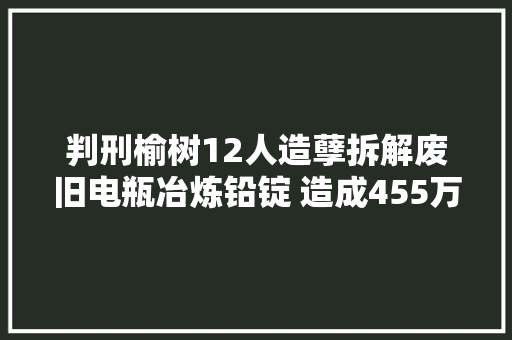判刑榆树12人造孽拆解废旧电瓶冶炼铅锭 造成455万元损失