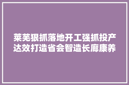 莱芜狠抓落地开工强抓投产达效打造省会智造长廊康养之都文旅胜地