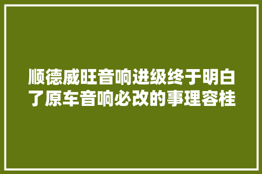 顺德威旺音响进级终于明白了原车音响必改的事理容桂尚韵