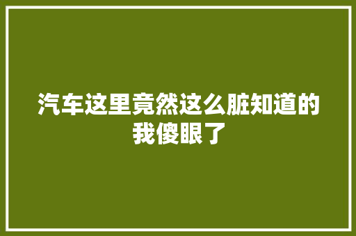 汽车这里竟然这么脏知道的我傻眼了