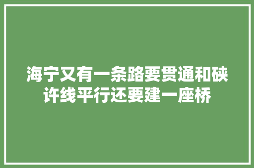海宁又有一条路要贯通和硖许线平行还要建一座桥