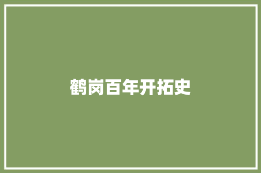 鹤岗百年开拓史 汽车知识