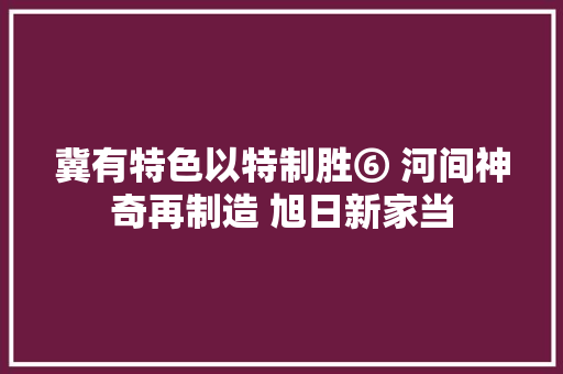 冀有特色以特制胜⑥ 河间神奇再制造 旭日新家当