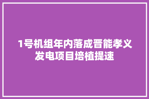 1号机组年内落成晋能孝义发电项目培植提速